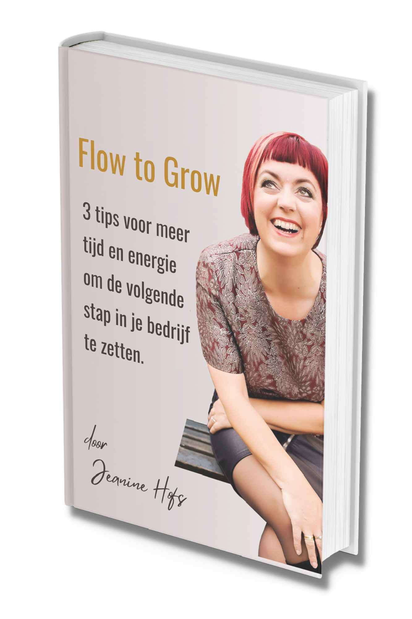 Flow-Ebook-05
